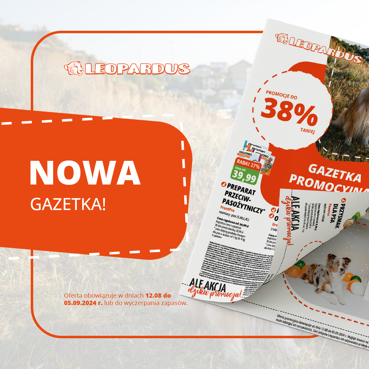 Sprawdź najnowszą gazetkę promocyjną Leopardus - rabaty do 38%!