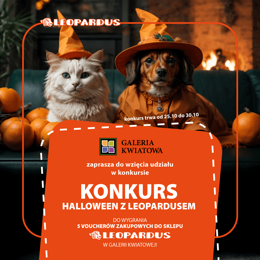 Halloween ze sklepem Leopardus - zapraszamy do zabawy