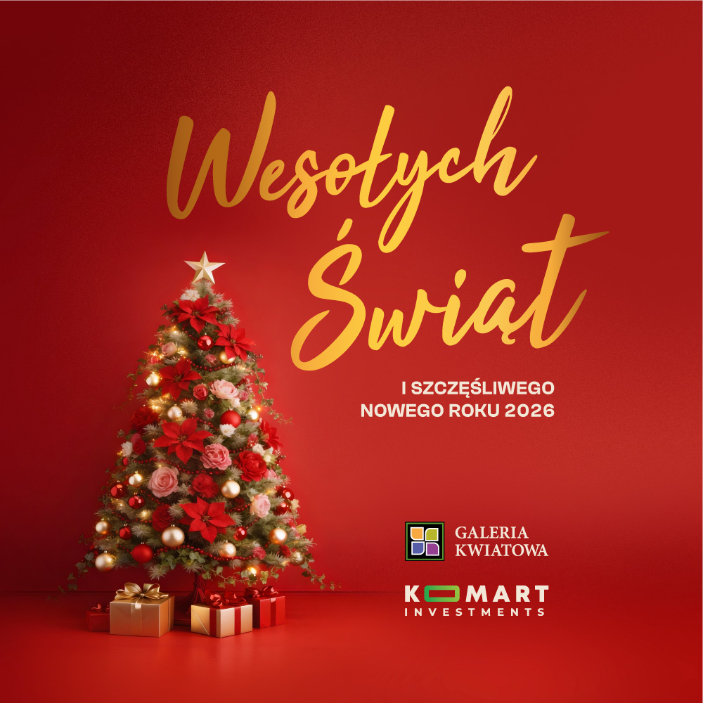 Pięknych Świąt Bożego Narodzenia!